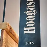 Hoagascht Apartman Flachau