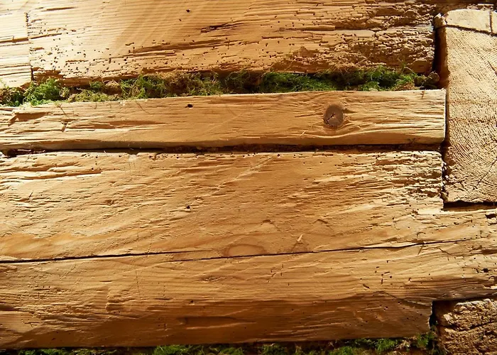 アパート Hoagascht